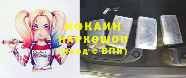прущие грибы Абаза