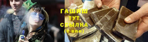 прущие грибы Абаза