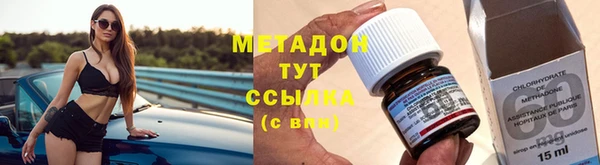 прущие грибы Абаза