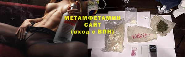 прущие грибы Абаза