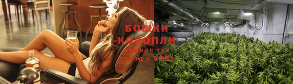 прущие грибы Абаза