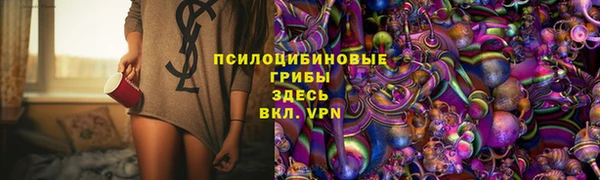 ПСИЛОЦИБИНОВЫЕ ГРИБЫ Абинск