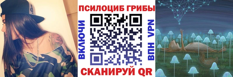 что такое   Щёлкино  Галлюциногенные грибы Magic Shrooms 